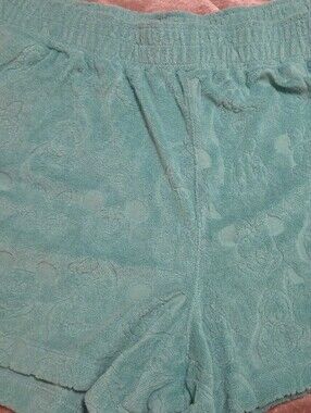 Disney Teal Terry Cloth Lounge Shorts